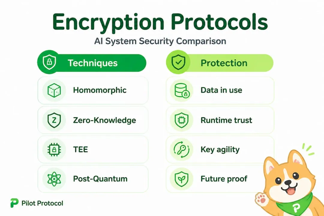 Infographic comparing encryption protocols for AI